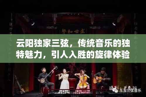 云阳独家三弦,传统音乐的独特魅力,引人入胜的旋律体验