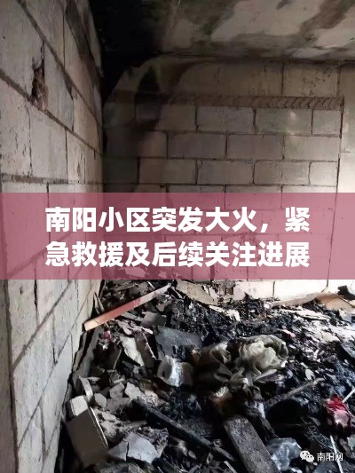 南阳小区突发大火,紧急救援及后续关注进展