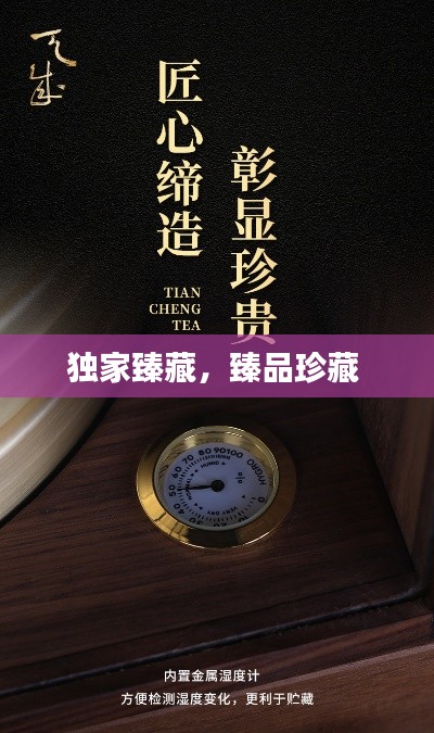 奔走如飞 第3页