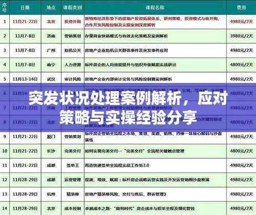 突发状况处理案例解析,应对策略与实操经验分享