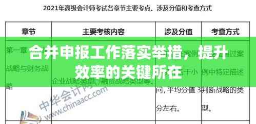 合并申报工作落实举措,提升效率的关键所在