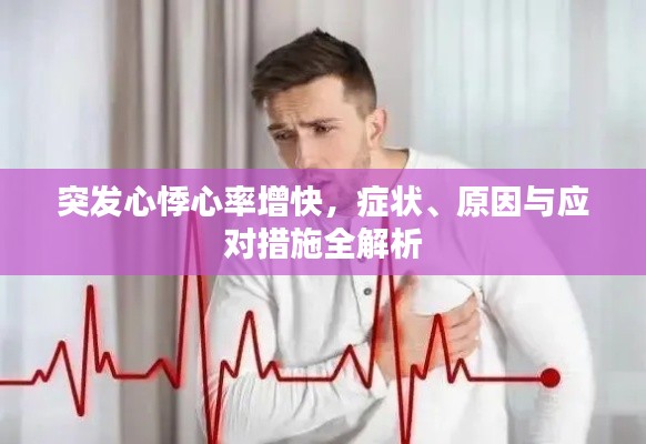 第1307页