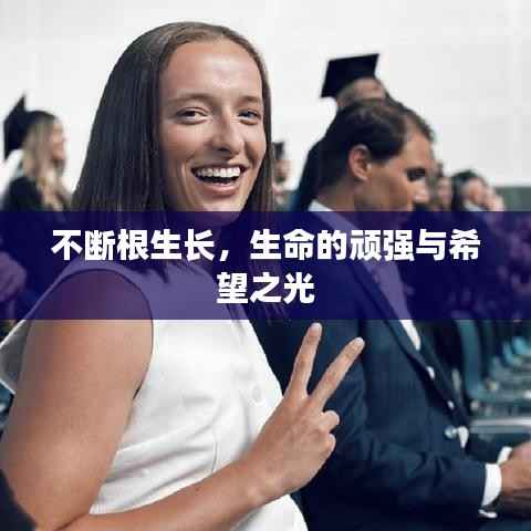 不断根生长,生命的顽强与希望之光