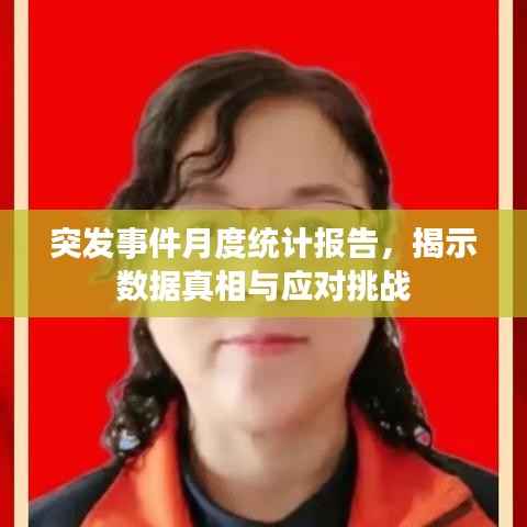 突发事件月度统计报告,揭示数据真相与应对挑战