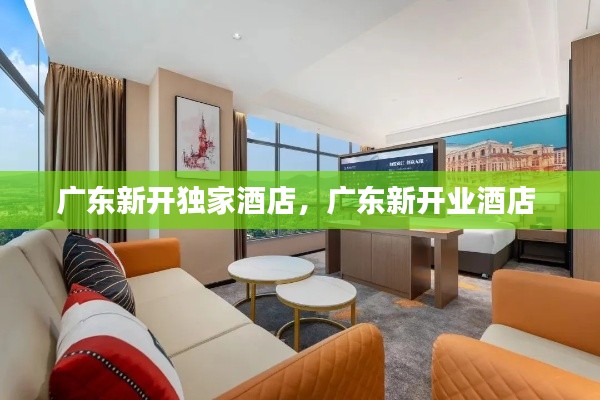 广东新开独家酒店,广东新开业酒店