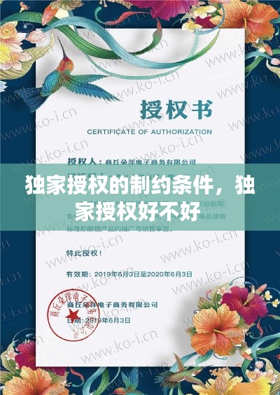 独家授权的制约条件,独家授权好不好