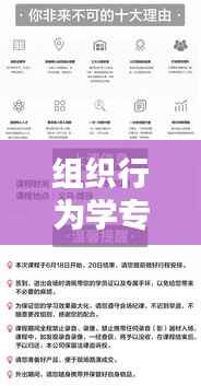 组织行为学专题研究揭秘,洞悉领导力与团队协作的奥秘