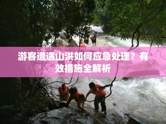 如翚斯飞 第2页