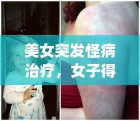 择善而从 第3页