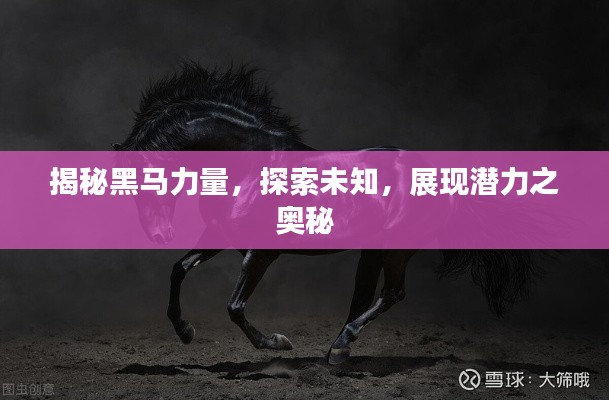 揭秘黑马力量,探索未知,展现潜力之奥秘