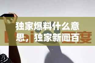 独家爆料什么意思,独家新闻百度百科