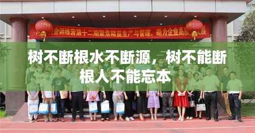 各就各位 第2页