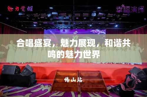 合唱盛宴,魅力展现,和谐共鸣的魅力世界