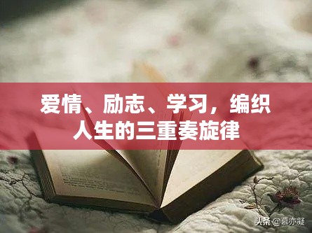 爱情、励志、学习,编织人生的三重奏旋律