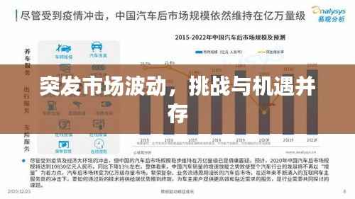 突发市场波动,挑战与机遇并存