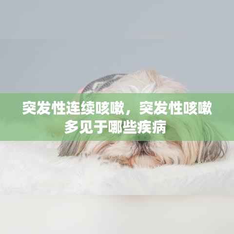 突发性连续咳嗽，突发性咳嗽多见于哪些疾病 
