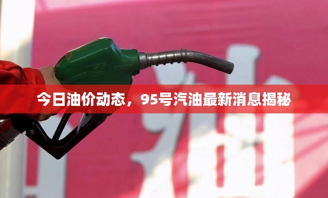 不飞则已 第2页