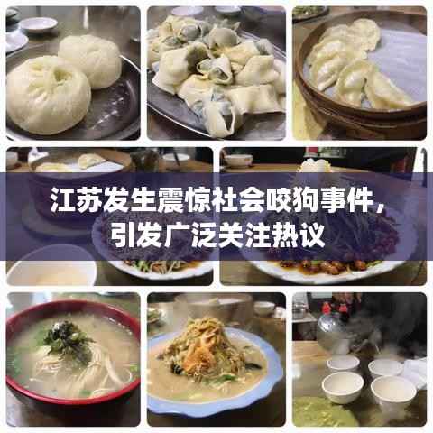江苏发生震惊社会咬狗事件,引发广泛关注热议