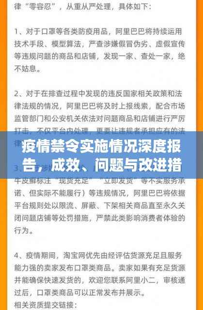疫情禁令实施情况深度报告，成效、问题与改进措施