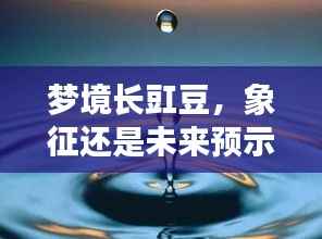 梦境长豇豆,象征还是未来预示?深度解读梦境奥秘!