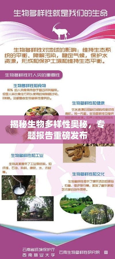 揭秘生物多样性奥秘,专题报告重磅发布