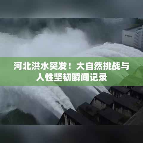 河北洪水突发!大自然挑战与人性坚韧瞬间记录