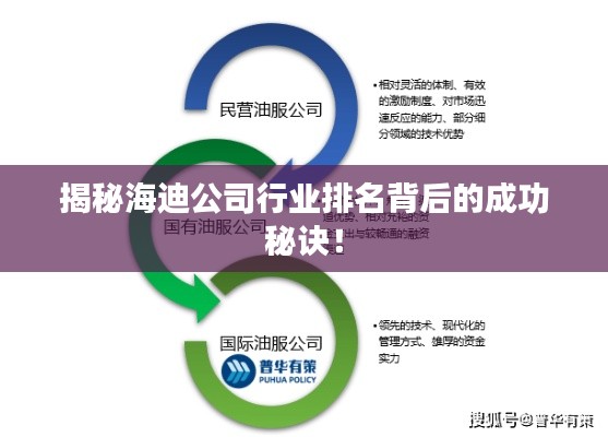 揭秘海迪公司行业排名背后的成功秘诀!