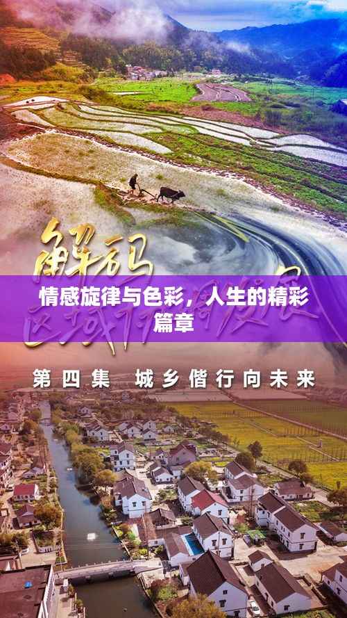 情感旋律与色彩,人生的精彩篇章