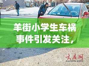 羊街小学生车祸事件引发关注,呼吁社会共同守护儿童安全