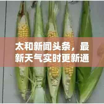 太和新闻头条,最新天气实时更新通知