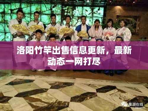 洛阳竹竿出售信息更新,最新动态一网打尽