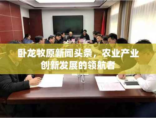 卧龙牧原新闻头条,农业产业创新发展的领航者