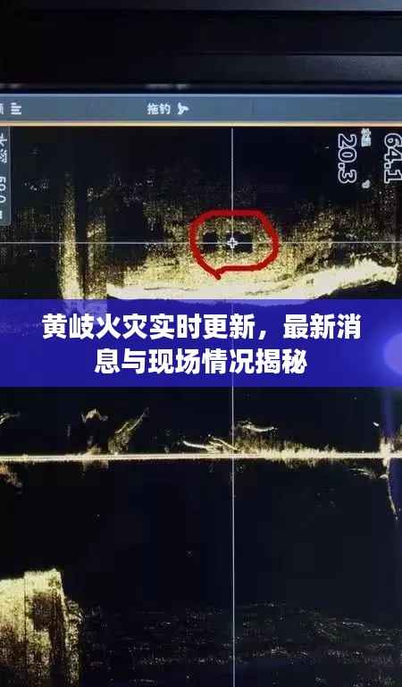 黄岐火灾实时更新,最新消息与现场情况揭秘