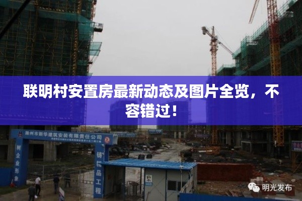 联明村安置房最新动态及图片全览,不容错过!
