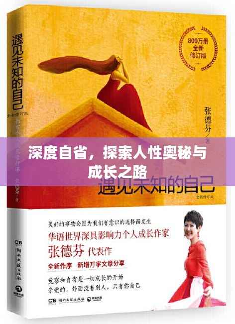 深度自省,探索人性奥秘与成长之路