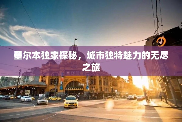 墨尔本独家探秘,城市独特魅力的无尽之旅