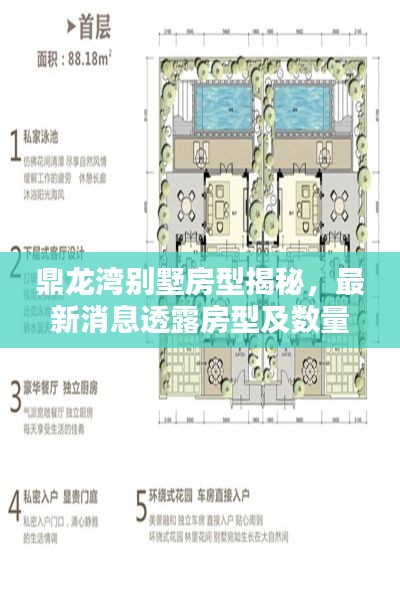 鼎龙湾别墅房型揭秘，最新消息透露房型及数量！