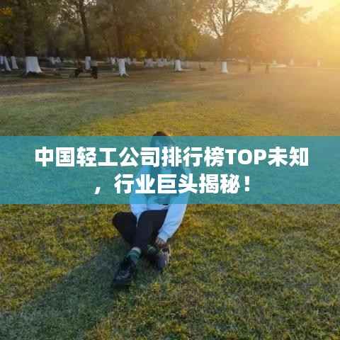 中国轻工公司排行榜TOP未知，行业巨头揭秘！