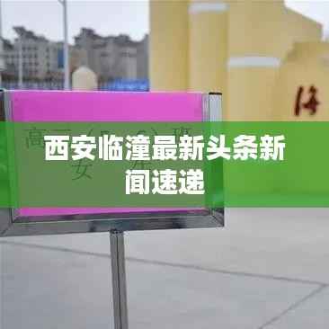 西安临潼最新头条新闻速递