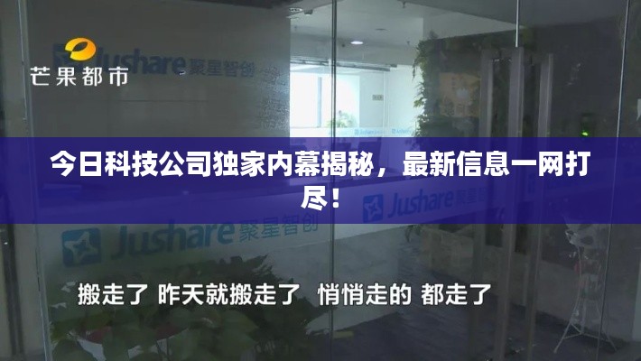 今日科技公司独家内幕揭秘,最新信息一网打尽!
