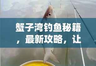 蟹子湾钓鱼秘籍,最新攻略,让你轻松钓上大鱼!