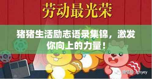 猪猪生活励志语录集锦,激发你向上的力量!