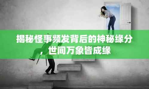 揭秘怪事频发背后的神秘缘分，世间万象皆成缘