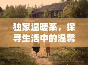 独家温暖系,探寻生活中的温馨独特时光