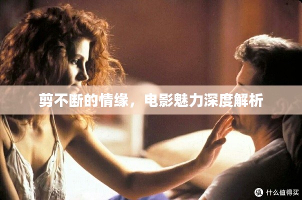 精品展示 第126页