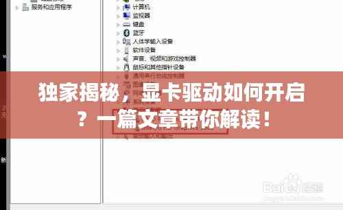 独家揭秘,显卡驱动如何开启?一篇文章带你解读!