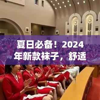 夏日必备!2024年新款袜子,舒适时尚多功能,让你爱不释手