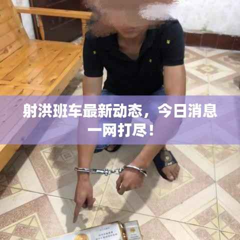 射洪班车最新动态，今日消息一网打尽！