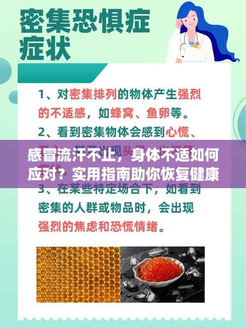 感冒流汗不止，身体不适如何应对？实用指南助你恢复健康