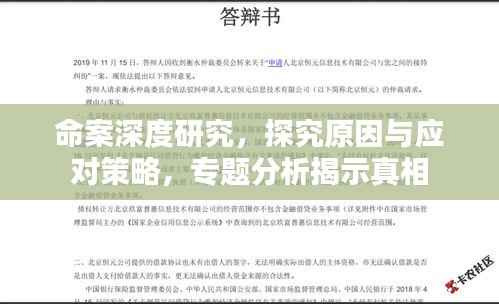 命案深度研究，探究原因与应对策略，专题分析揭示真相